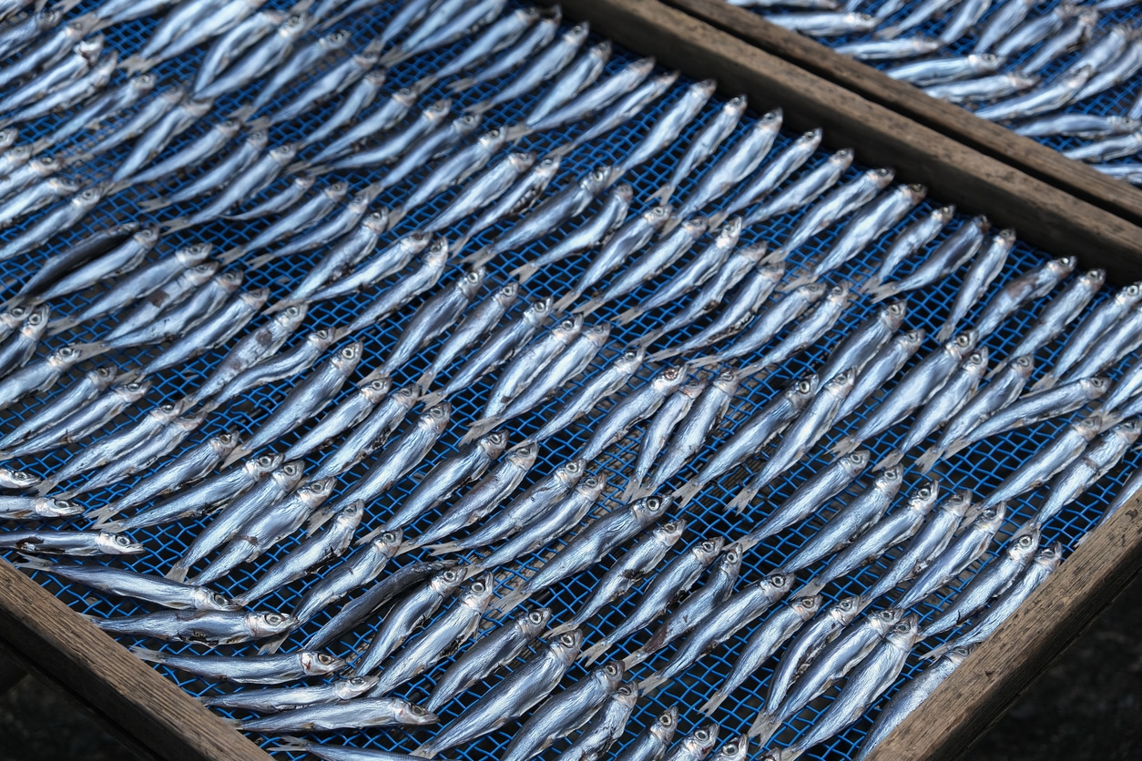 Sink or Swim: The Importance of Washing Metal Racks in Seafood ...