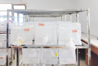 research on mosquitoes in the laboratory